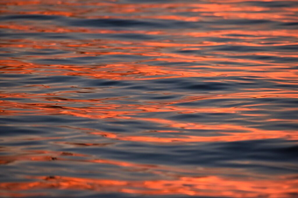 Summer Philosophy about Acting