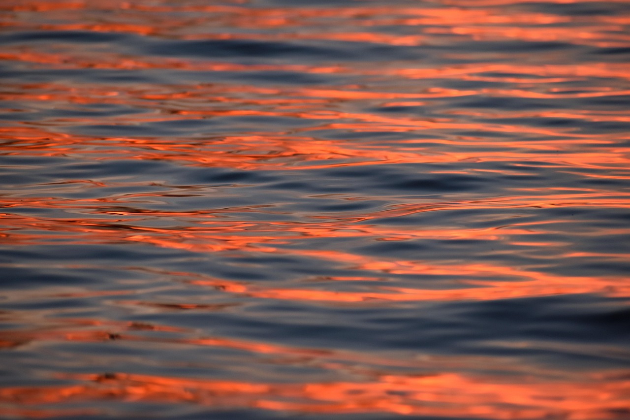 Summer Philosophy about Acting